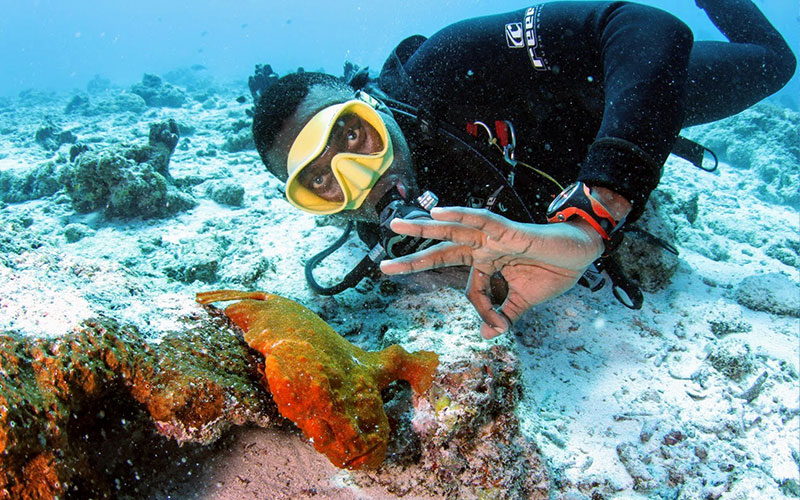 PADI Diving Courses Zanzibar