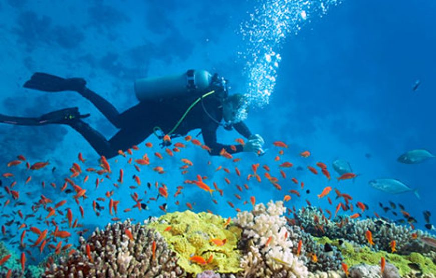 10 Dives Package Zanzibar