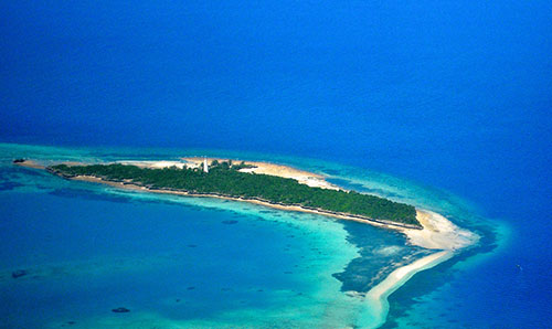 Best Dive Sites In Zanzibar