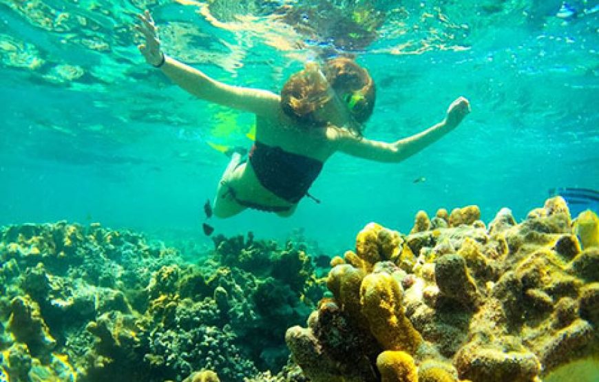 Snorkeling Mnemba