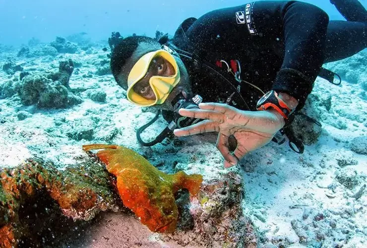 10 Things  About Scuba Diving