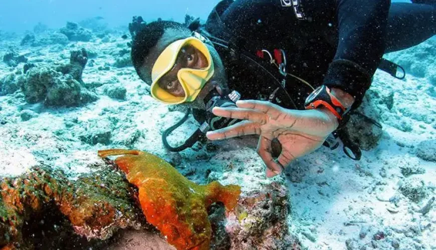 10 Things  About Scuba Diving