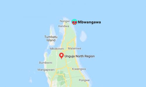 mbwangawa dive site