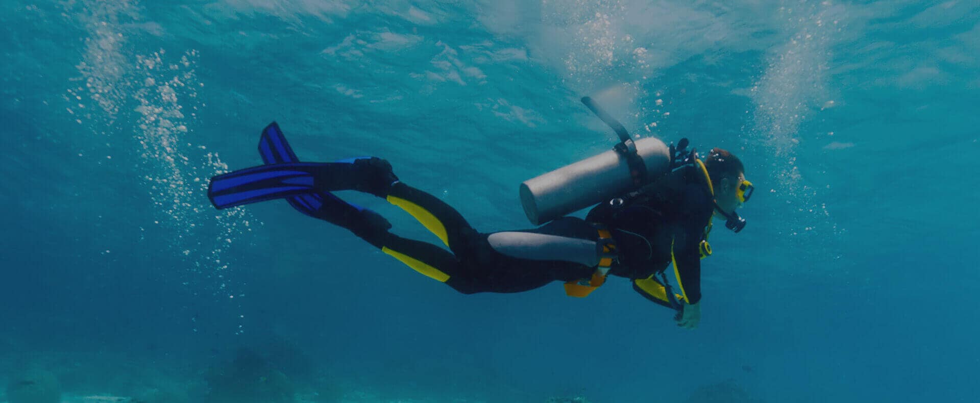 Diving In Zanzibar Island